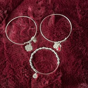 ✨ Alexi and Ani Silver Charm Bracelet Bundle ✨